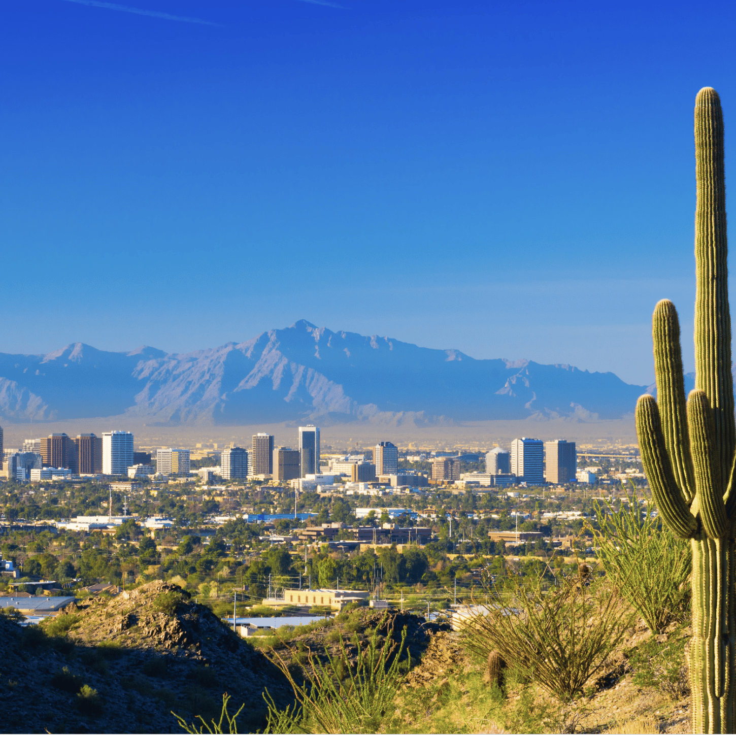 Arizona