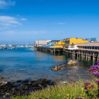 Monterey